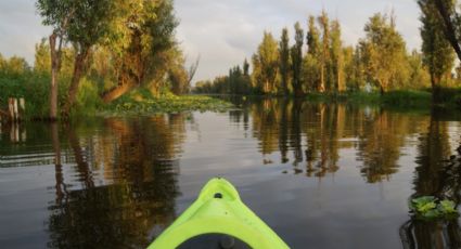 Xochimilco: Conoce su lado más bello a bordo de un kayak