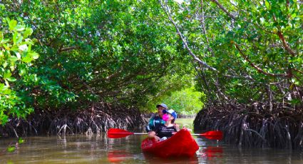 Isla Aguada, el refugio pirata en México que se convirtió en Pueblo Mágico