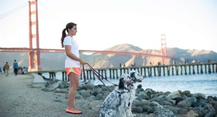 Destinos californianos perfectos para viajar en compañía de tu perro