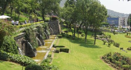 Parque Nacional el Tepeyac, un espacio natural al norte de la CDMX