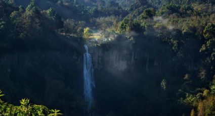 Tlatlauquitepec: 3 actividades que puedes hacer en el próximo puente de abril