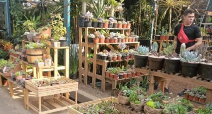 Mercados de plantas y flores en Xochimilco que deberías visitar en tu viaje por CDMX