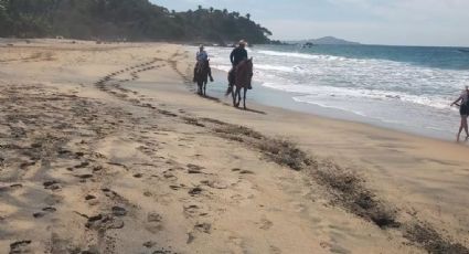 Patzcuarito, la playa menos conocida de la Riviera Nayarit y perfecta para relajarse