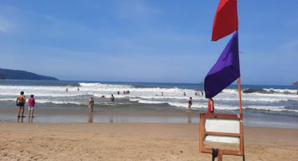 ¡Toma precauciones! Las playas de Nayarit que estarán cerradas por presencia de peces morena