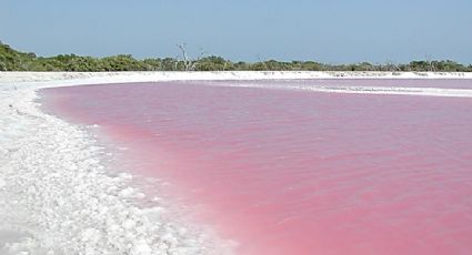 Las Coloradas: PRECIO de los tours para recorrer la única playa rosa en México