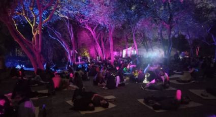 ¿Qué hacer en Semana Santa en CDMX? Disfruta de Chapultepec con picnic nocturno