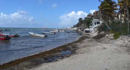 El Recodo en Playa del Carmen cierra al público por sargazo en plena temporada vacacional