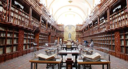 3 increíbles bibliotecas públicas para visitar en tus viajes por México: MAPA