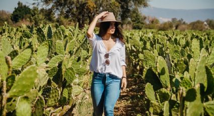 Circuito del Nopal, un imperdible spot para Instagram en Salamanca, Guanajuato