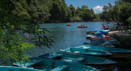 Bosque de las Truchas: CUÁNTO cuesta y CÓMO llegar a este santuario natural en Hidalgo