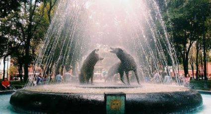 Atractivos imperdibles del Barrio Mágico de Coyoacán para visitar un fin de semana