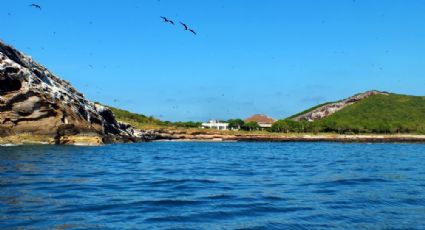 Isla Isabel, el paraíso poco conocido de la Riviera Nayarit