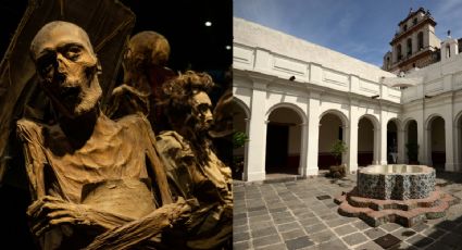 ¡Sin ir a Guanajuato! El museo de la CDMX para disfrutar de momias (VIDEO)