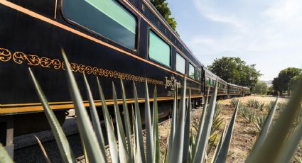 Tequila Express, la ruta en tren que no te puedes perder durante tu viaje a Guadalajara