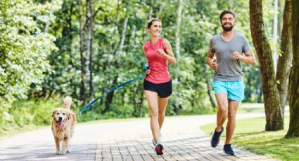 Actividades al aire libre para disfrutar del Parque Cantera de Coyoacán