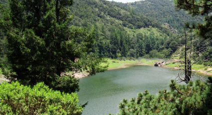 Las Carboneras, el paraíso oculto de Hidalgo para amantes de la naturaleza