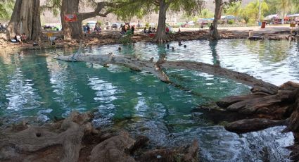 Balneario Los Ahuehuetes, una maravilla natural en Puebla que debes conocer en un fin de semana