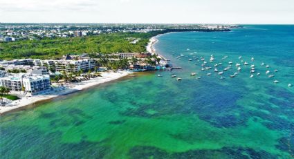 ¿Cuáles son las playas con y sin SARGAZO hoy 15 de mayo 2022? MAPA