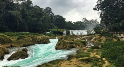 Las Nubes, el centro ecoturístico de Chiapas en medio de la ¡SELVA!