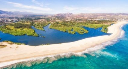 Estero San José del Cabo, el oasis de aguas dulces enclavado en el desierto de Baja California Sur