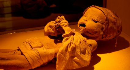 5 datos curiosos que quizá no conocías del Museo de las Momias de Guanajuato