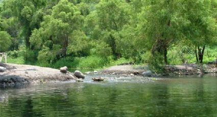 ¡Agua de manantial a los pies del cerro! Los Amiales, el balneario natural de Colima