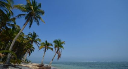 Tamiahua, la profunda vegetación de la Huasteca Veracruzana