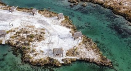 Mezquites, el bello río turquesa localizado en medio del desierto de Coahuila