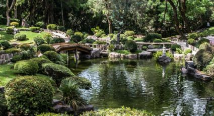 Colomos, el parque más bello de Guadalajara que esconde el jardín japonés