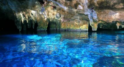 Gran Cenote, uno de los lugares más bellos que deberías conocer en Tulum