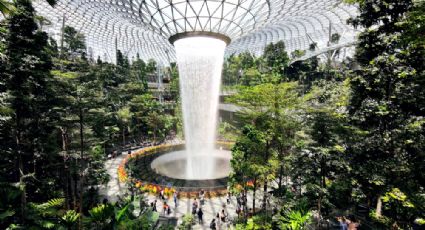 De bosque hasta cascada: Así es el aeropuerto de Singapur, el ‘más bello del mundo