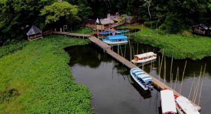 Nanciyaga, la reserva ecológica más impresionante de Veracruz