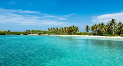 Isla Contoy, el paraíso del Caribe que puedes recorrer en un solo día