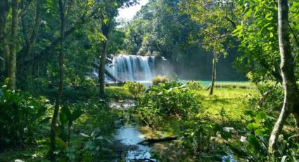 Sej Kajub, la sorprendente cascada que se resguarda entre la Selva Lacandona