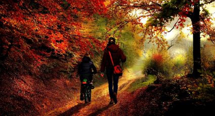 5 ideas de regalos para una mamá viajera perfectos para el Día de las Madres