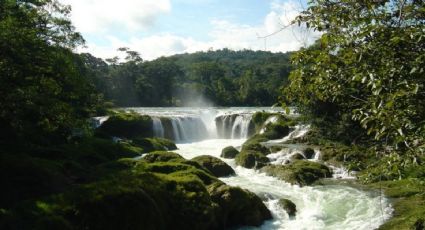 Chiapas: 5 cascadas más hermosas que debes conocer al menos una vez en tu vida