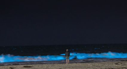 Playas bioluminiscentes: ¿Cuándo es la mejor temporada para disfrutar del fenómeno