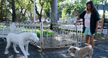 ¡De pelos! Paseo Perrón llega a Jalisco para sorprender a los amantes de los caninos