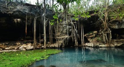 Cenote X-Batún, el paradisíaco destino elegido para grabar ‘Abismo de Pasión’