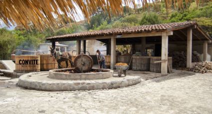 ¡Para todo mal…! 3 Pueblos Mágicos para viajar con los papás que aman el mezcal