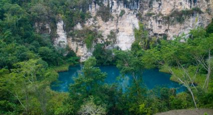 Cenote Cocodrilo Dorado, el sitio de aguas turquesa perfecto para el rappel