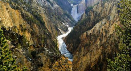 Yellowstone, el icónico parque de EU cierra sus puertas a los turistas temporalmente