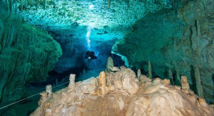 Chan Hol, el cenote donde ‘flotarás’ entre las aguas más cristalinas de Tulum