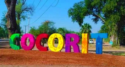 Cocórit, el pueblo yaqui  que acoge un museo al aire libre para admirar aves multicolores