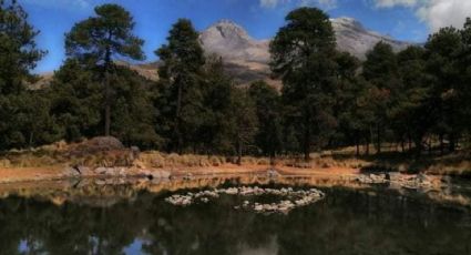 Dos Aguas, el parque natural con cascadas que puedes visitar a tan sólo dos horas de la CDMX