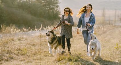 3 Pueblos Mágicos pet friendly ideales para escaparte con tu mascota