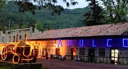 Hacienda Apulco, un santuario ecológico para sumergirse en la belleza de la sierra de Puebla
