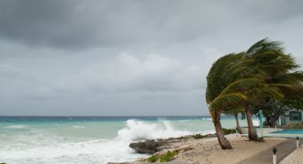 Temporada de Huracanes: Esta es la trayectoria EN VIVO del huracán Adrián