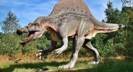 5 exposiciones jurásicas para disfrutar entre DINOSAURIOS