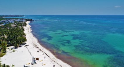 ¿Cuáles son las playas con y sin SARGAZO hoy 26 de junio 2022? MAPA